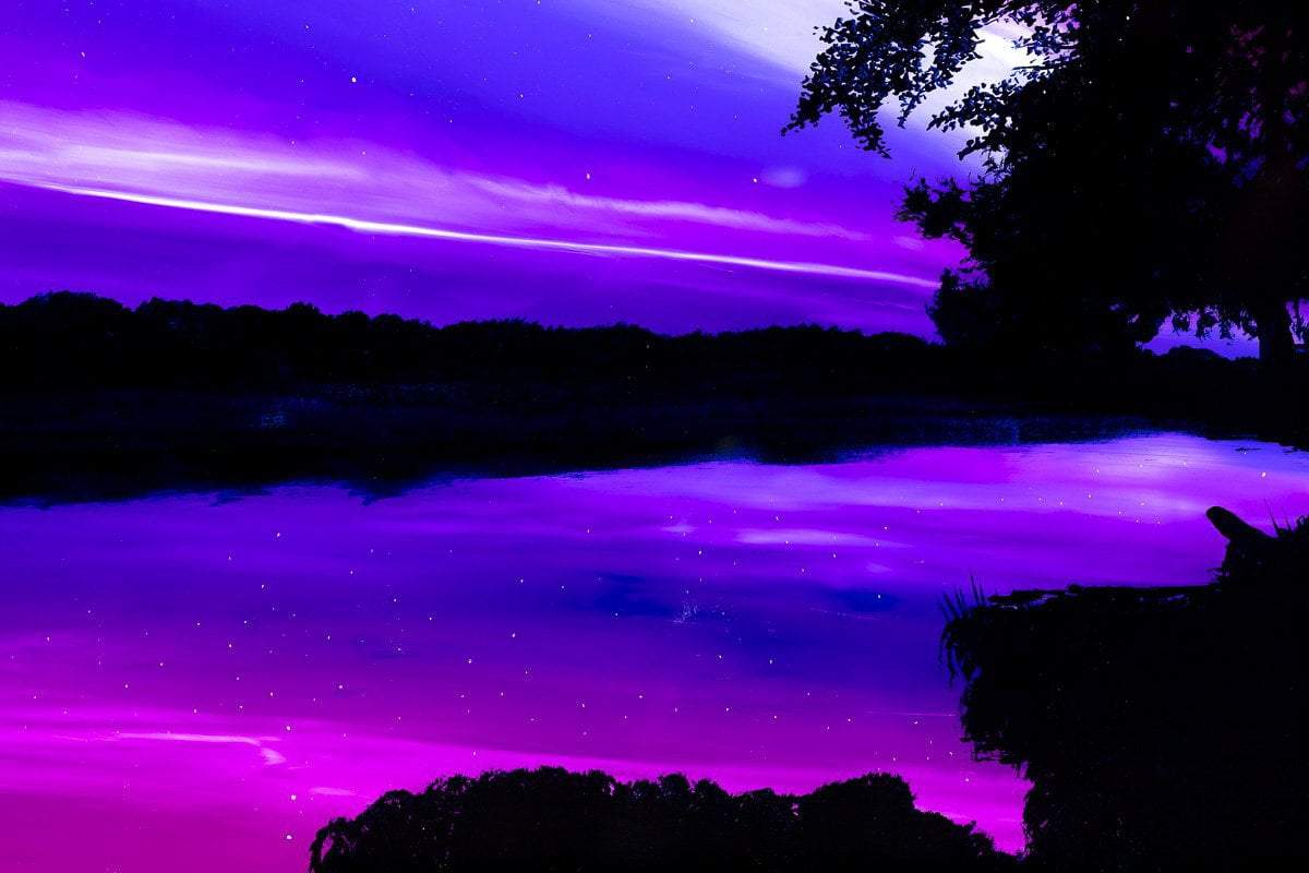 Purple Rain - Original Richard King Framed