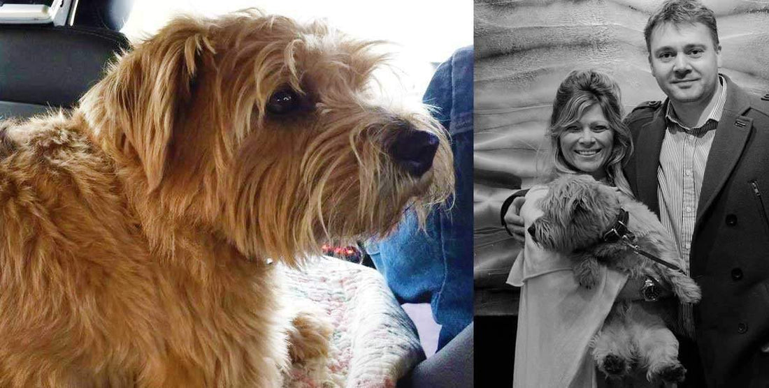 The Irrepressible Rozanne Bell!