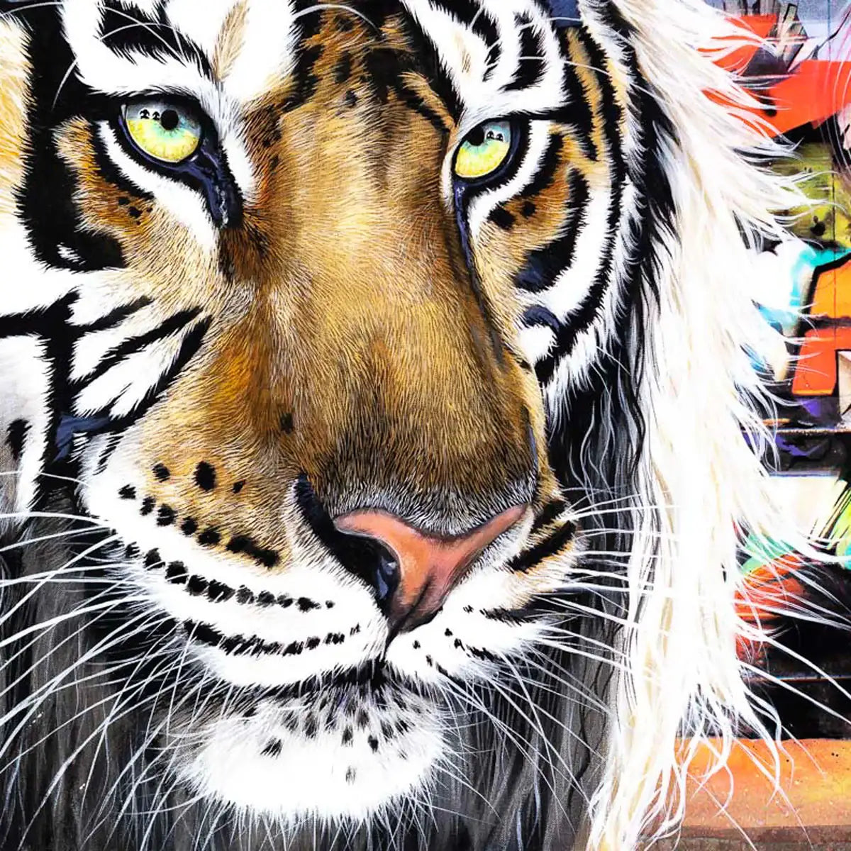 Faye Nasser-Joley Collection - Wyecliffe Galleries