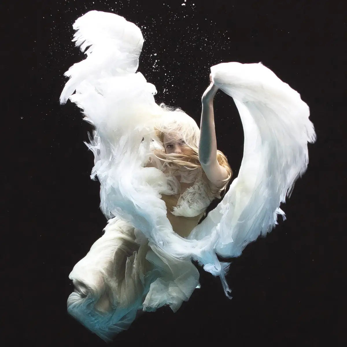 Zena Holloway Collection - Wyecliffe Galleries