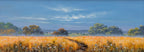 Beauty In The Untamed - Original