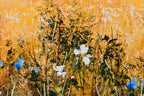 Beauty In The Untamed - Original