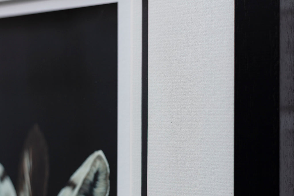 Born To Stand Out - Edition