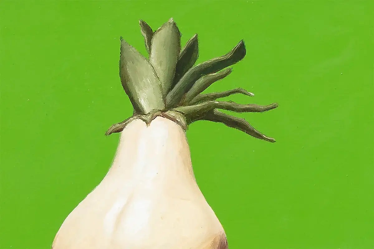 Couronne Fertile - Original