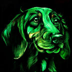 Dachshund - Original