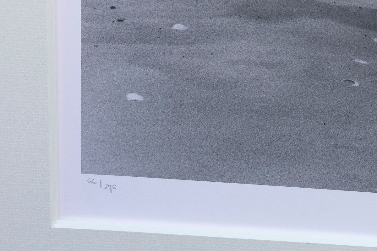 Driftwood, Tobay Beach, 1949 - Edition