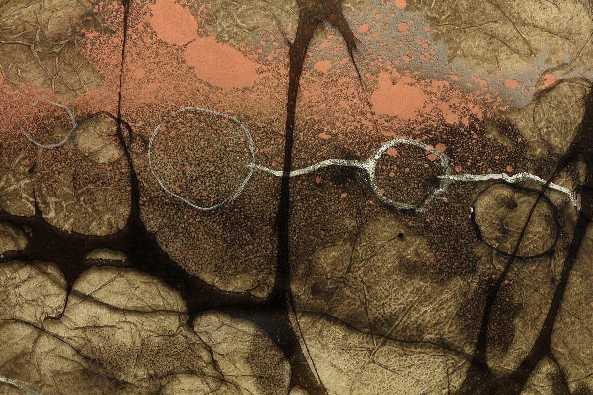 Encke - Original by artist Kerry Darlington - Wyecliffe Galleries