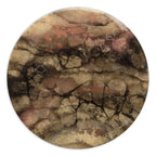 Encke - Original by artist Kerry Darlington - Wyecliffe Galleries