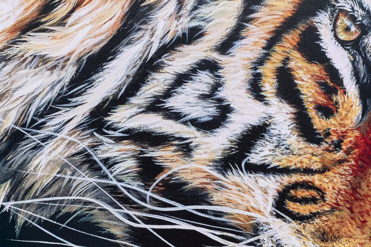 Endless Love - Edition