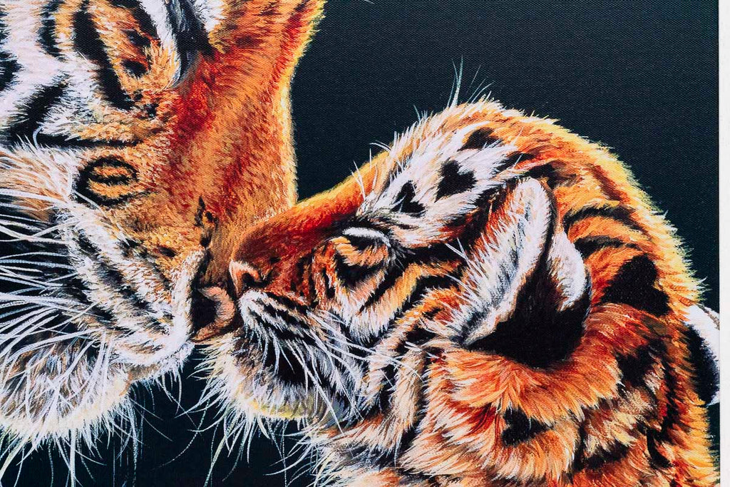 Endless Love - Edition