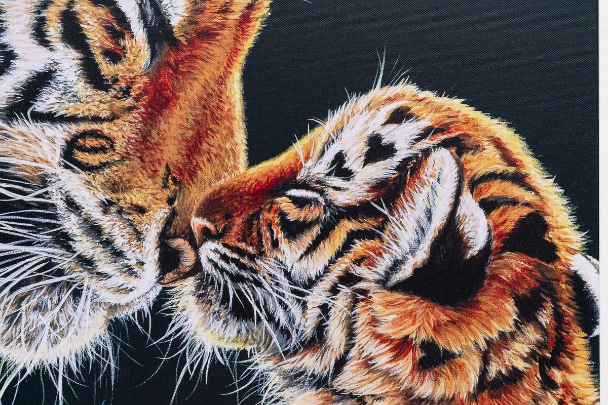 Endless Love - Edition