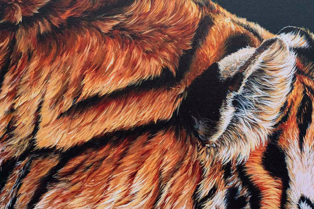 Endless Love - Edition