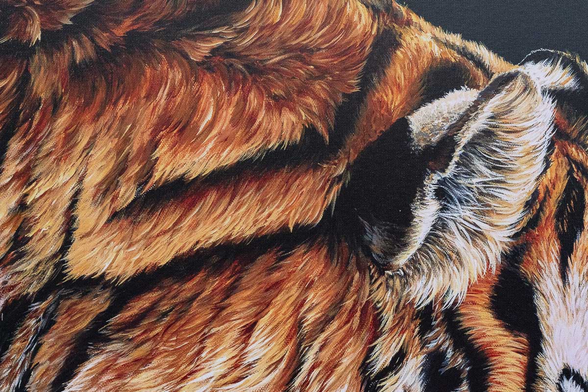 Endless Love - Edition