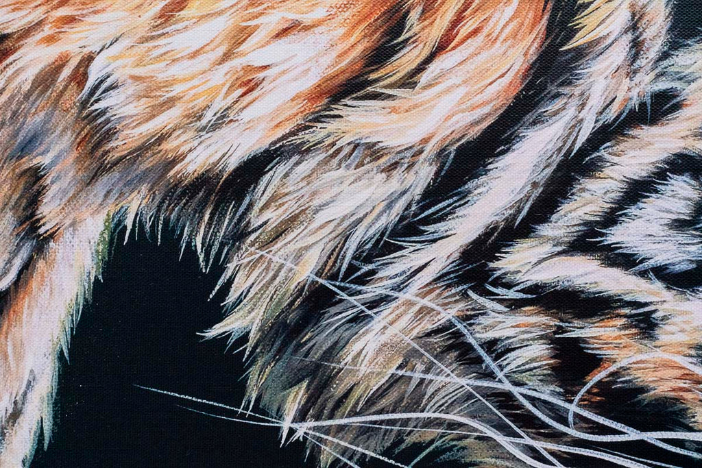 Endless Love - Edition