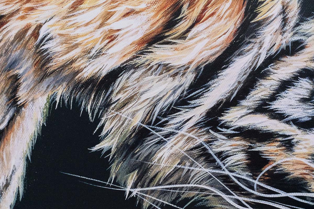 Endless Love - Edition