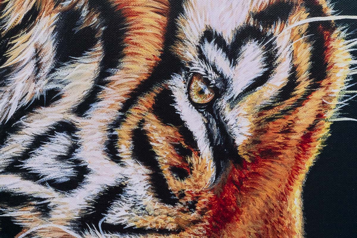 Endless Love - Edition