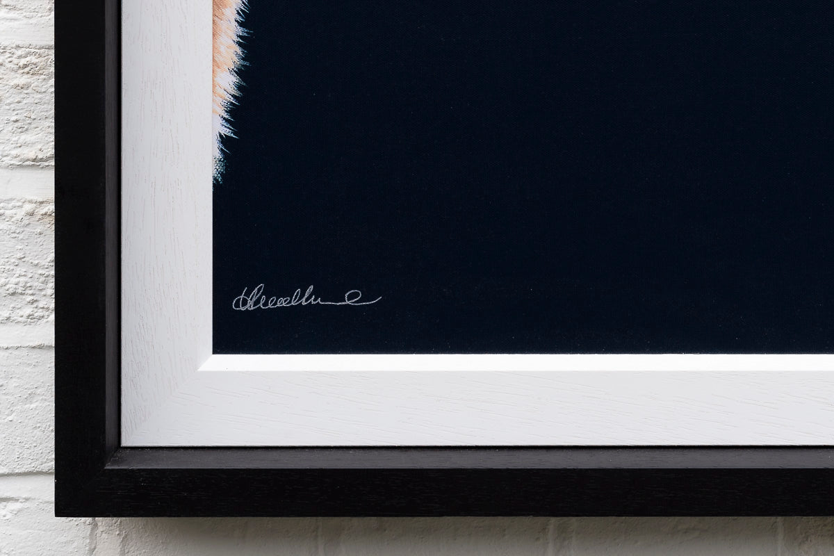 Endless Love - Edition