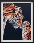 Endless Love - Edition