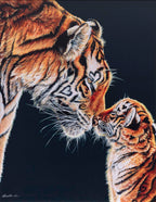 Endless Love - Edition