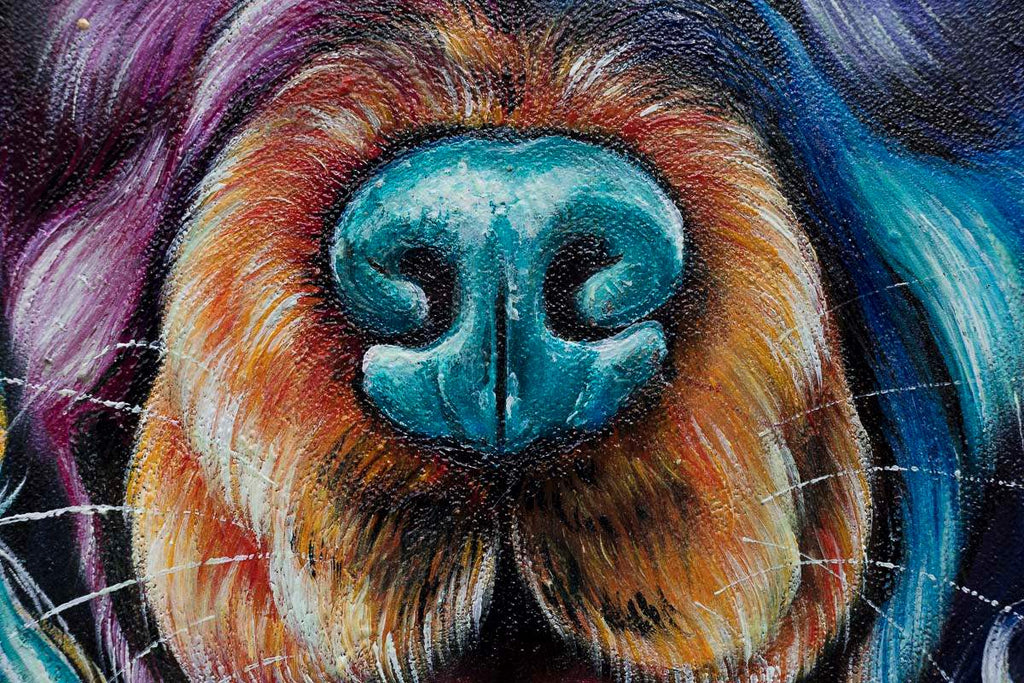 English Show Cocker Spaniel - Original