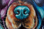 English Show Cocker Spaniel - Original