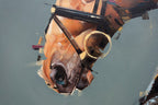 Equestrian II - Original