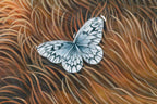 Hibernation - Edition by artist Kerry Darlington - Wyecliffe Galleries