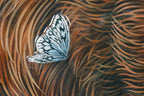 Hibernation - Edition by artist Kerry Darlington - Wyecliffe Galleries