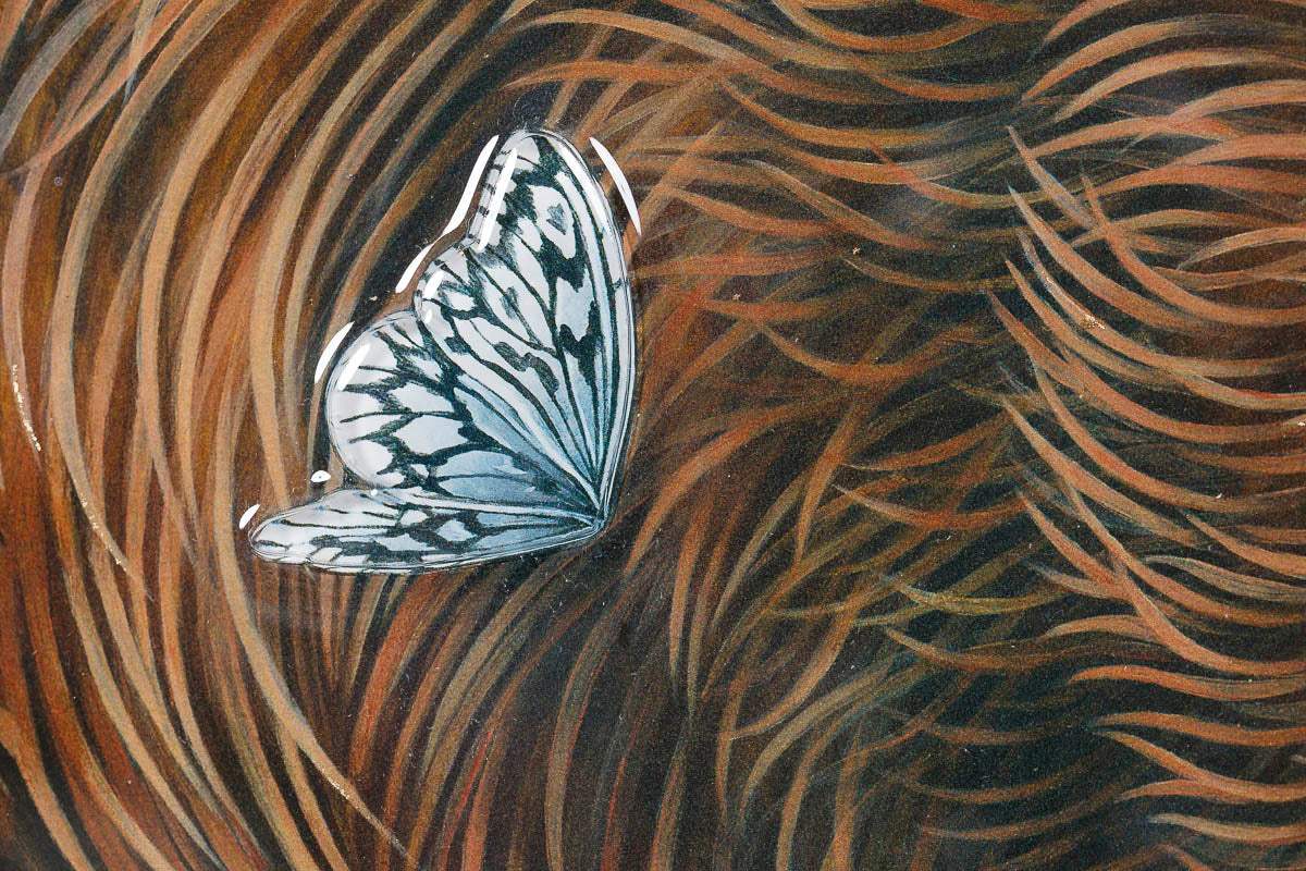 Hibernation - Edition by artist Kerry Darlington - Wyecliffe Galleries
