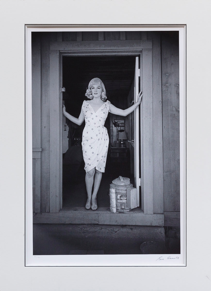 In The Frame - The Misfits, 1960