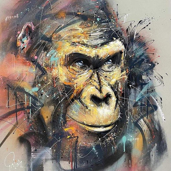 アート・デザイン・音楽 Mario Giacomelli Alistair Crawford PHAID Amazon | Mario Giacomelli | Crawford, Alistair | Photo Essays