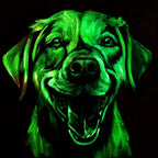 Labrador Retriever - Original