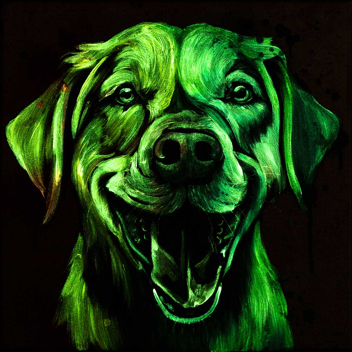 Labrador Retriever - Original