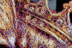 Life Of Luxury - Original - SOLD