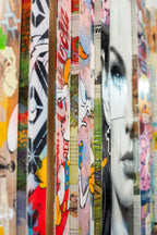 MISFITS - Boutique Edition by artist Lhouette - Wyecliffe Galleries