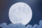 Moonlit Romance - Original