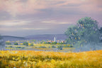 Nature's Beauty Blooms In Every Meadow - Original