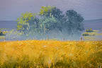 Nature's Beauty Blooms In Every Meadow - Original
