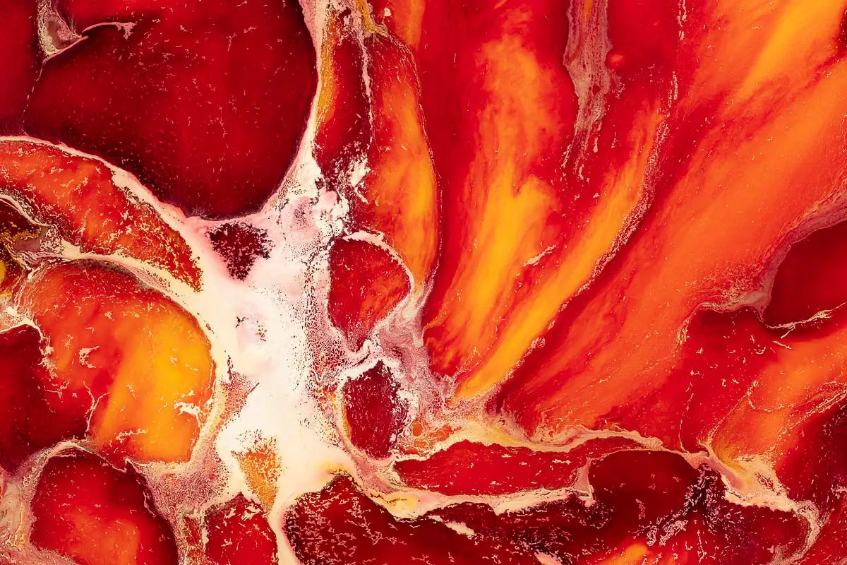 Nautilus VI - Original - RESERVED