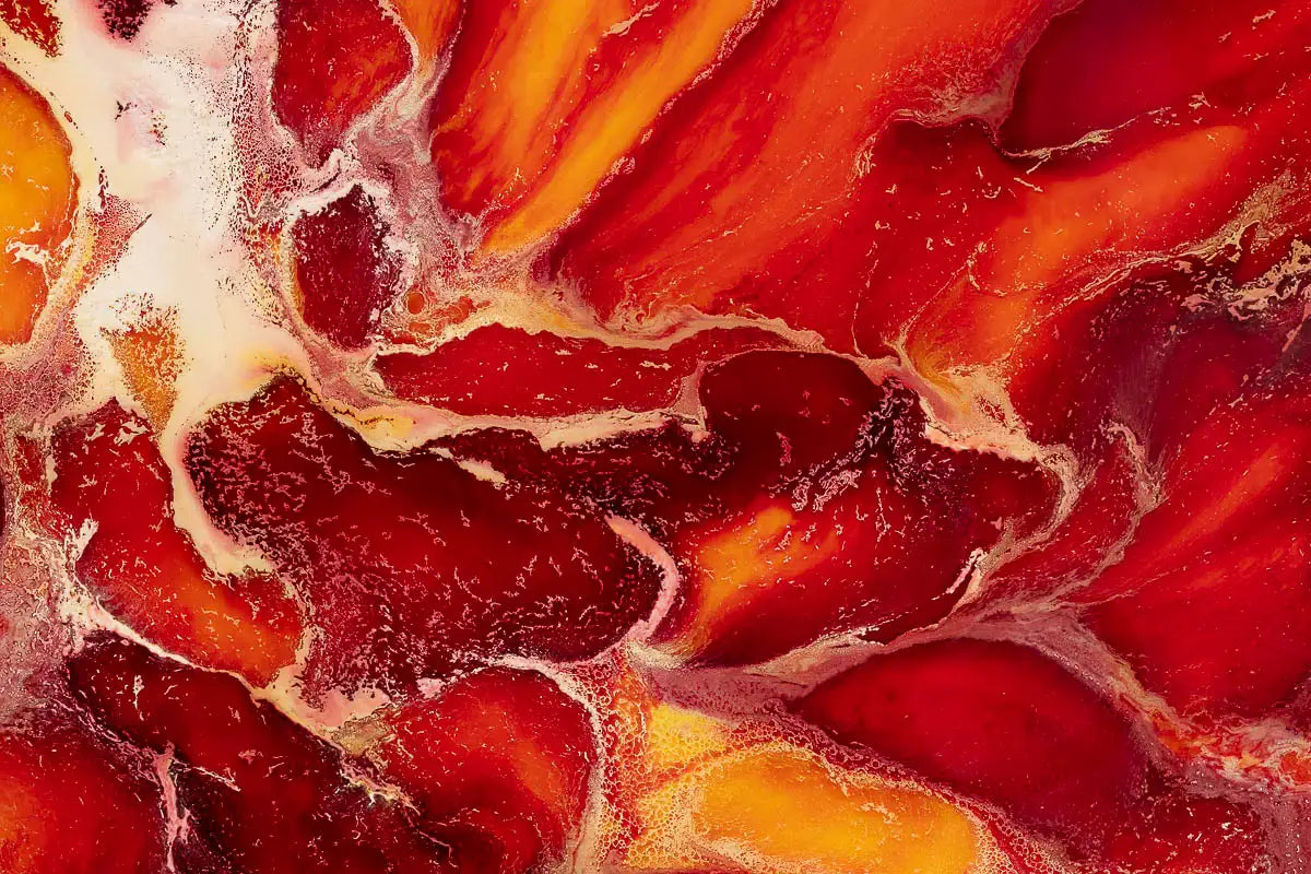 Nautilus VI - Original - RESERVED