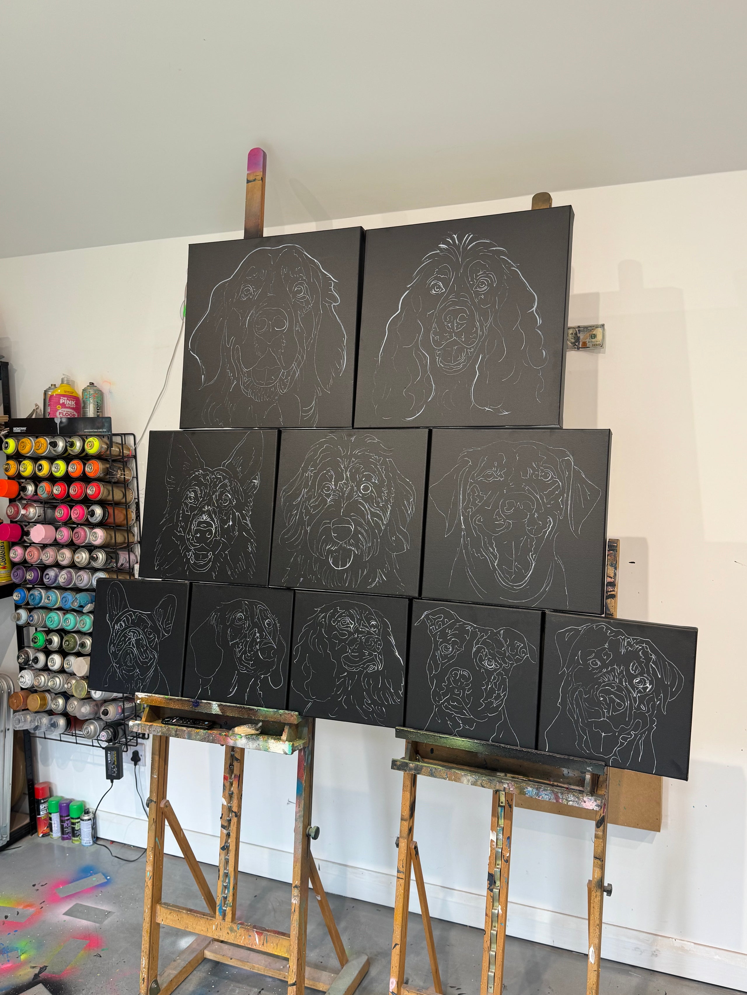 English Show Cocker Spaniel - Original