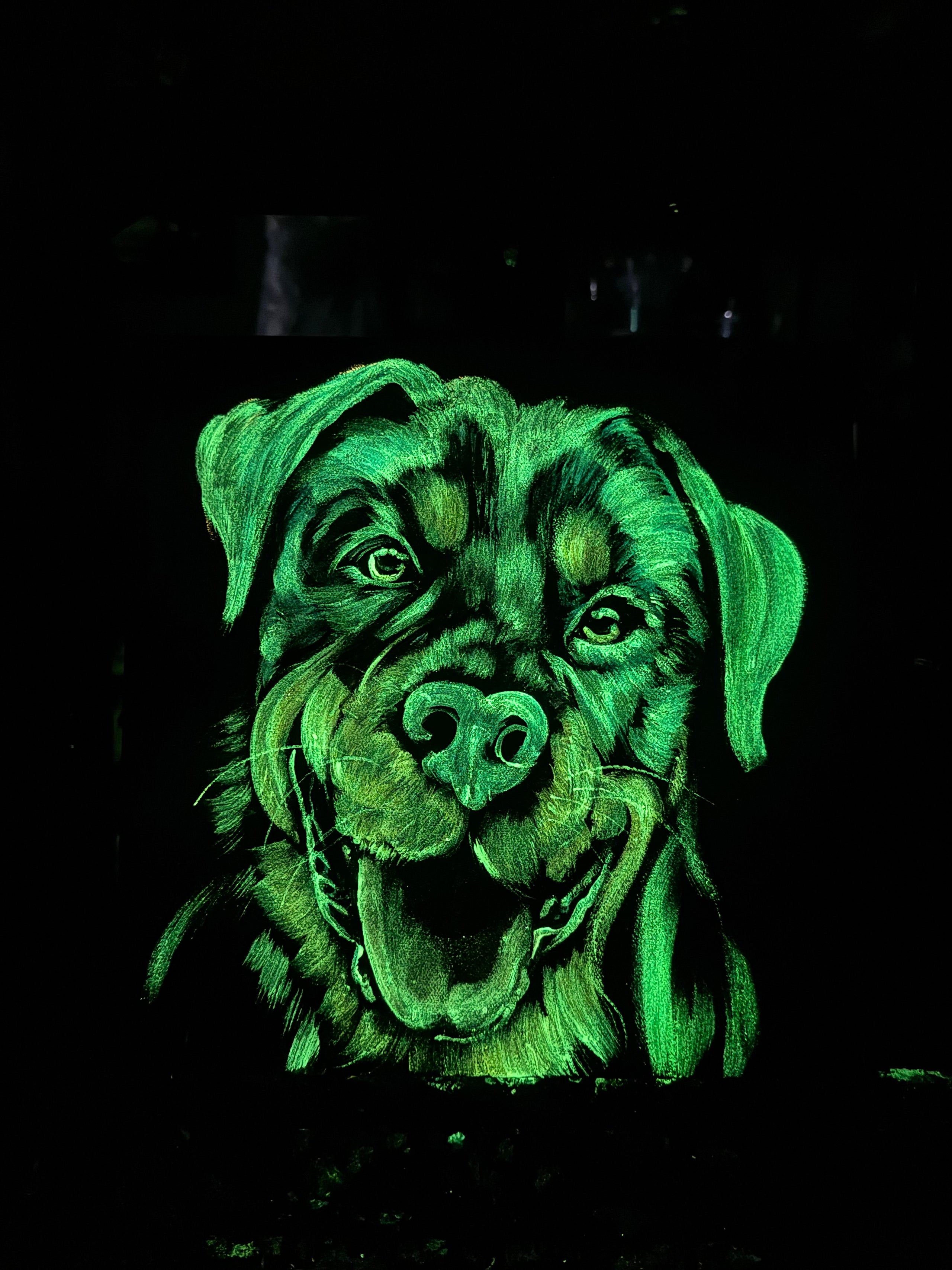 Rottweiler - Original