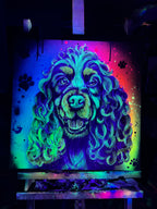 English Show Cocker Spaniel - Original