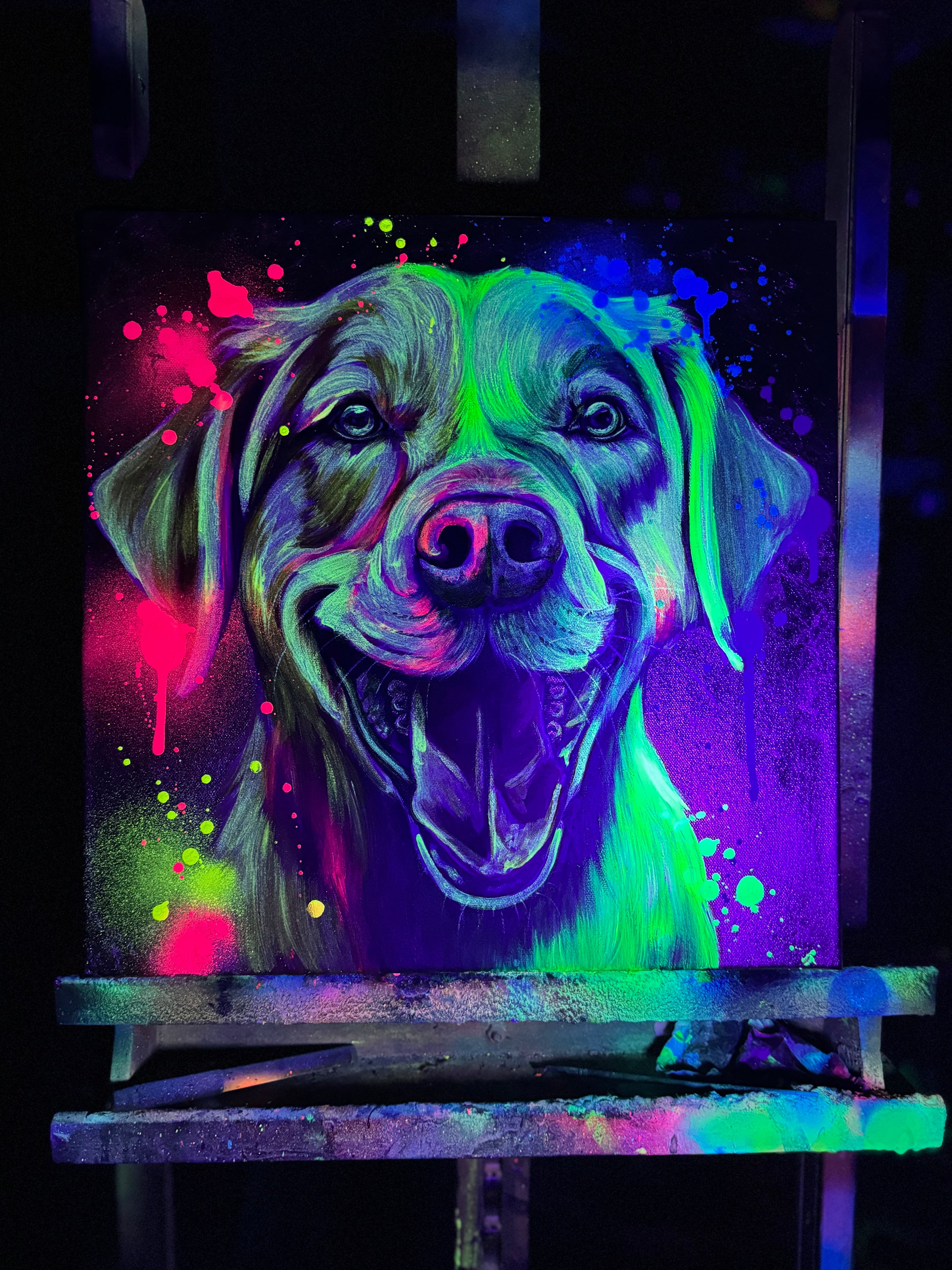 Labrador Retriever - Original