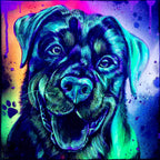 Rottweiler - Original
