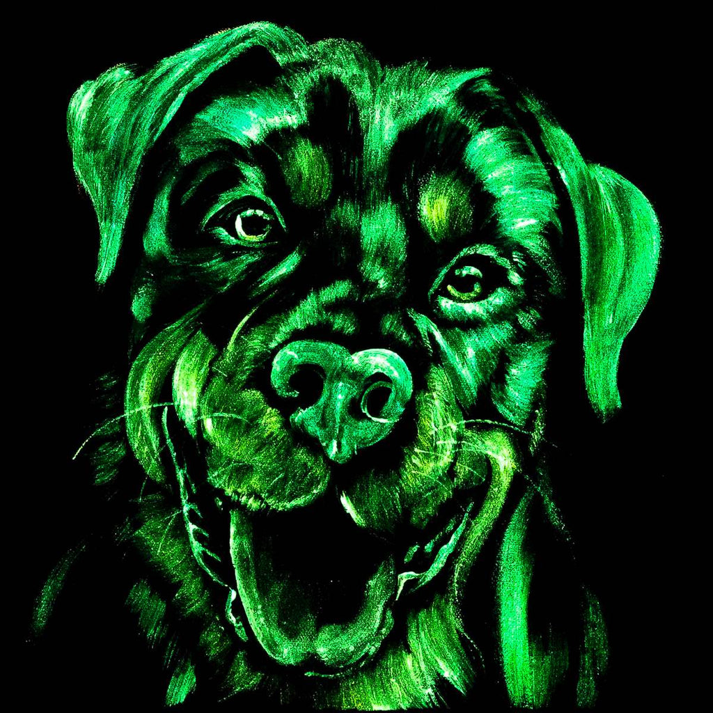 Rottweiler - Original