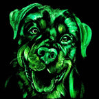 Rottweiler - Original