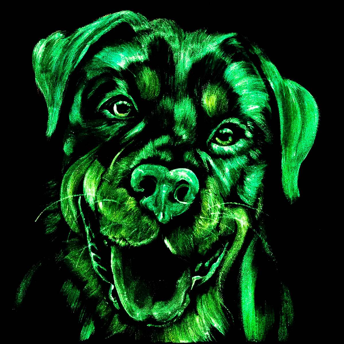 Rottweiler - Original