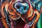 Rottweiler - Original