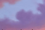 Sunsets Are Better With You - Original